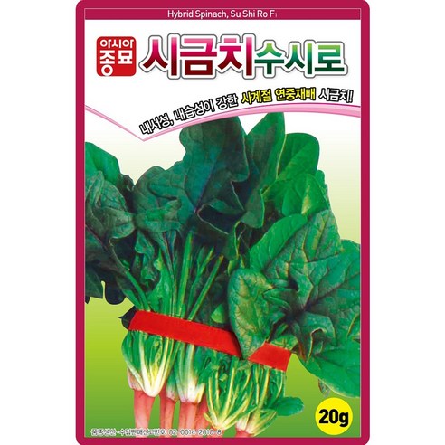 수시로 시금치 씨앗 20g 사계절 연중재배 시금치씨 종자, 1개