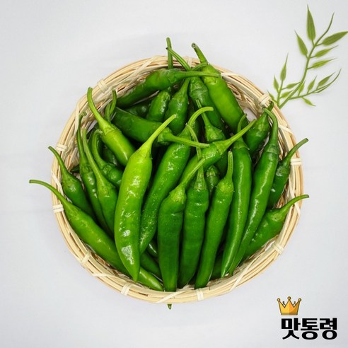 맛통령 국내산 청양고추, 1개, 당일경매 신선한 청양고추 500g