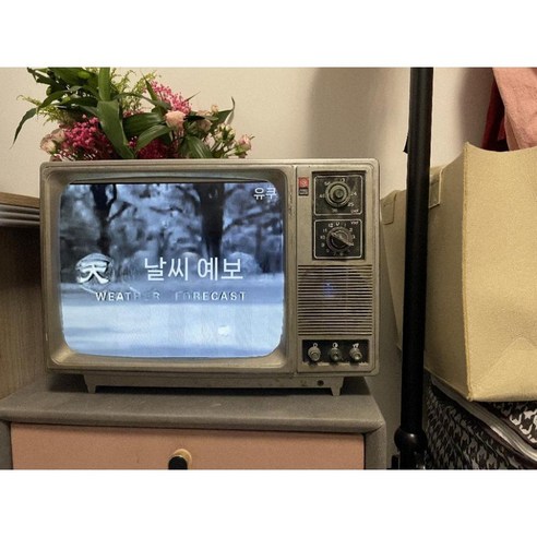 추억을 소환하는 마법, 브라운관 TV: 아날로그 감성을 품다