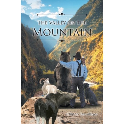 (영문도서) The Valley on the Mountain Paperback, Christian Faith Publishing,..., English, 9798886160376