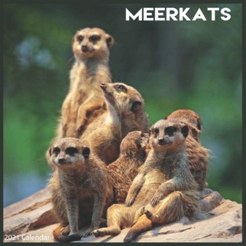 Meerkats 2021 Calendar: Official Meerkat 2021 Wall Calendar Paperback, Independently Published, English, 9798589925265