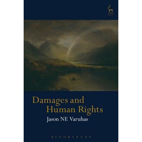 Damages and Human Rights Paperback, Hart Publishing, English, 9781509924448