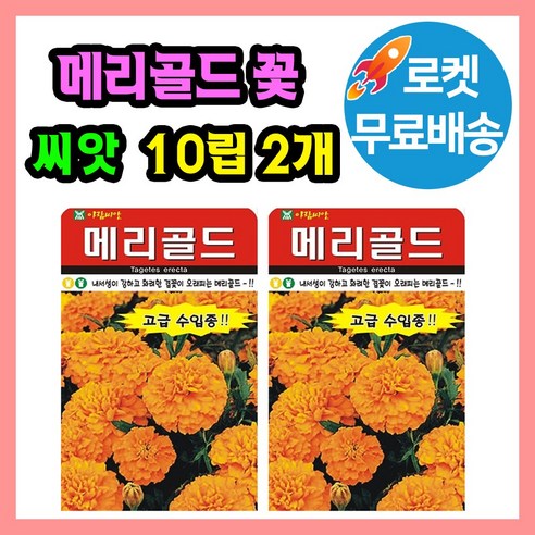 메리골드 꽃 씨앗 (합 20립) 종자 꽃씨, 2개