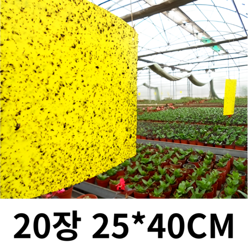 3초쿨 노랑트랩 250mm*400mm 대형 다용도 비닐하우스 초파리 날파리 러브버그 해충퇴치기, 20개