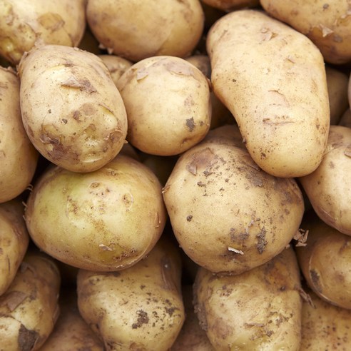 2024 햇감자 수미감자 두백감자 3kg, 1박스, 수미 중 5kg