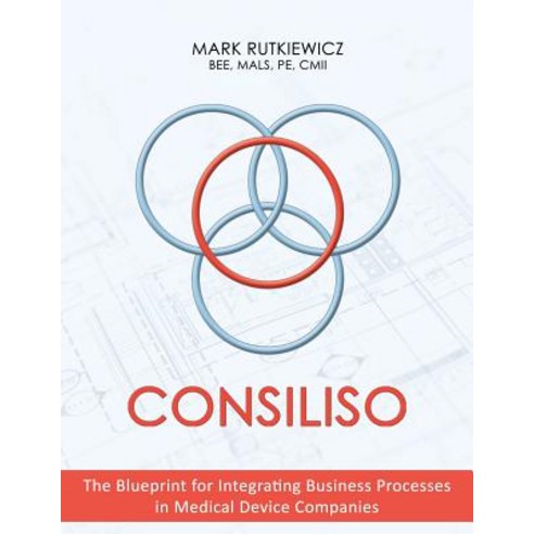 (영문도서) Consiliso: The Blueprint for Integrating Business Processes in Medical Device Companies Paperback, Archway Publishing, English, 9781480860544