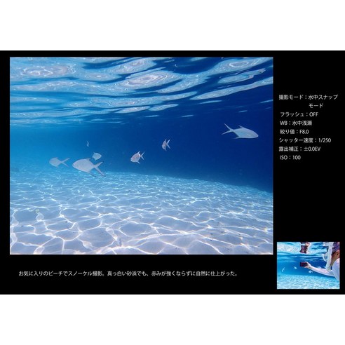 극한의 환경에서도 빛나는 순간을 담아내는 OLYMPUS Tough TG-6 레드