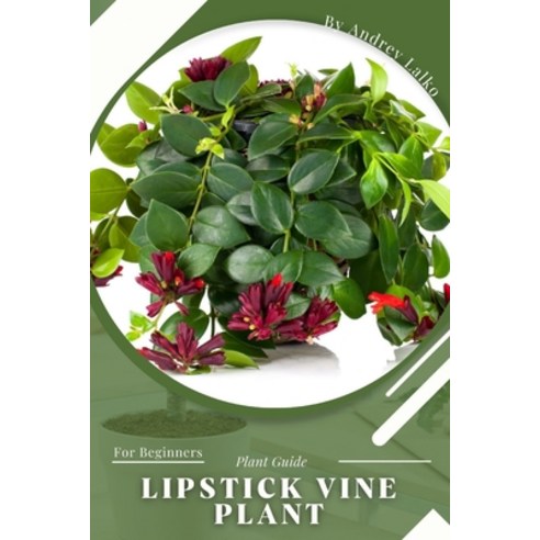 (영문도서) Lipstick Vine Plant: Plant Guide Paperback, Independently Published, English, 9798391416234