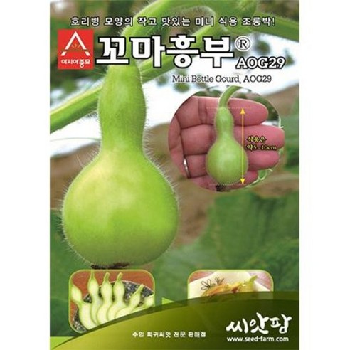 미니 조롱박씨앗 10립, 1개