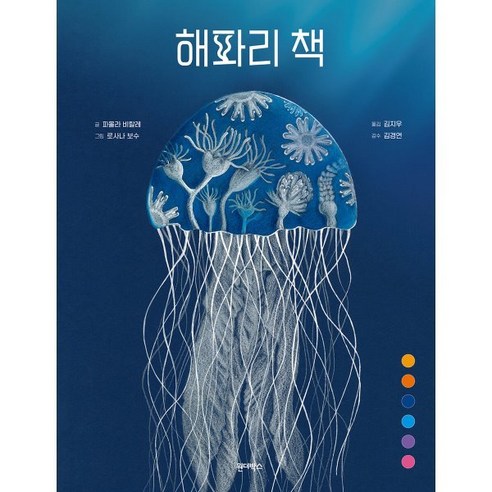 해파리 책, 원더박스