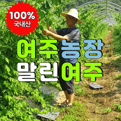 옹달샘농장 국내산100% 무농약 햇 건여주, 3개, 200g