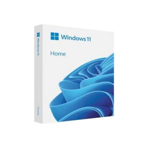 Windows 11 홈 FPP USB 한글 처음사용자용 영구사용