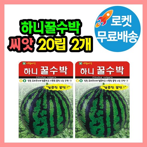 하니꿀수박 씨앗 (합 40립) 꿀수박 고당도 수박 종자, 2개