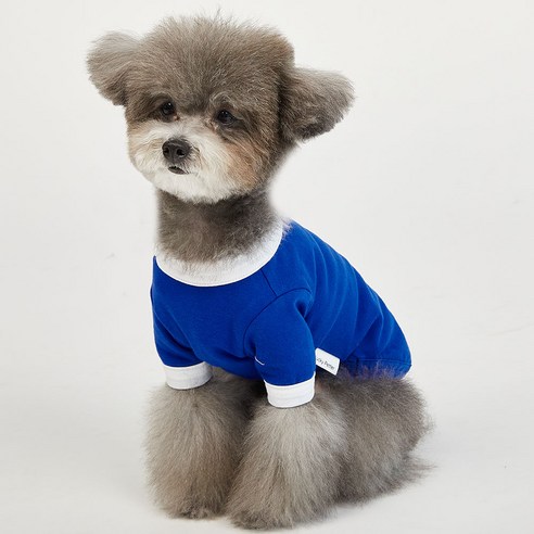럭키페터 컬러링거 강아지 옷 소형견 대형견 티셔츠 실내복 강아지 내복, 블루+화이트, 2개