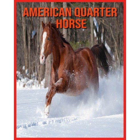 American Quarter Horse: Amazing Facts & Pictures Paperback, Independently Published, English, 9798706543730
