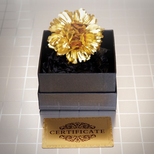 마음을 담은 빛, [아울렛뱅크] 24K 도금 골드 카네이션 브로치 금카네이션브로치