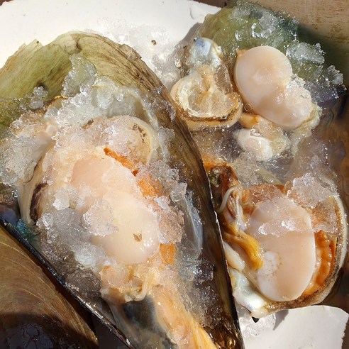 간편한 홈파티, 국내산 생물 키조개로 즐기세요!