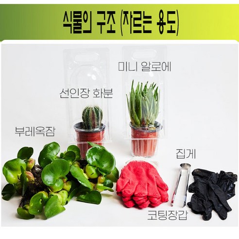 생물농장 식물의 구조(자르는 용도)