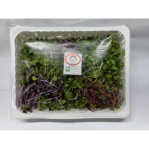 [림다준] 새싹류 베이비어린잎 대 500g 내외, 1개