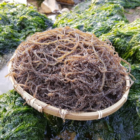 완도총각네 바다의국수 염장 꼬시래기 완도 꼬시레기 생산자직송, 3개, 1.5kg