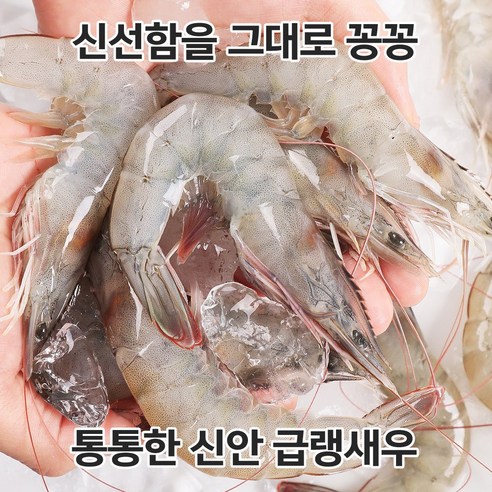 태그된 신선한 바다자리