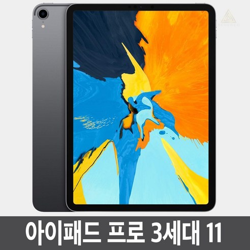 아이패드 프로 3세대(1세대) 11인치 64GB 256GB WiFi/셀룰러 기가 정품, 셀룰러