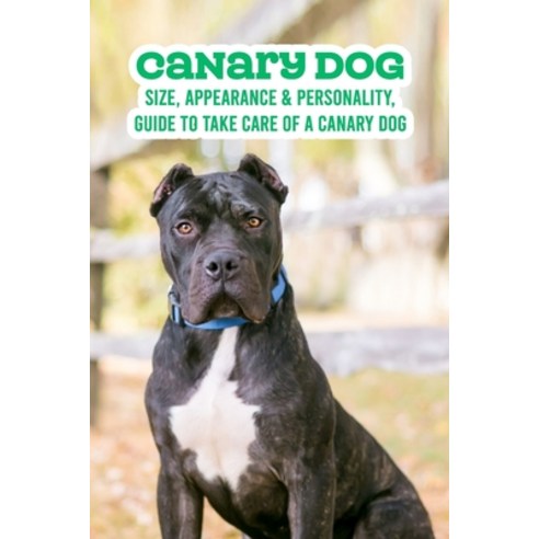(영문도서) Canary Dog: Size Appearance & Personality Guide To Take Care of A Canary Dog: Canary Dog Br... Paperback, Independently Published, English, 9798462698408