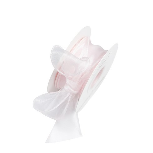 디어플레이스 쉬폰 리본끈 오간디 포장끈 4cm, 1개, 9m, 05 발레핑크