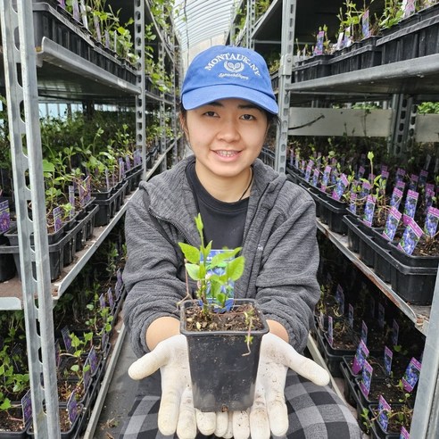 클레마티스 멀티블루, 푸른 꿈을 정원에 심다