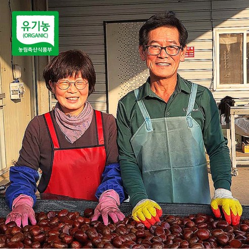 2024년 신선한 유기농 공주밤 알밤 정안밤 햇밤 선물 세트 (5개, 2kg) – 제수용 깐밤 2024년 신선한 유기농 공주밤 알밤 정안밤 햇밤 선물 세트 (5개, 2kg) – 제수용 깐밤