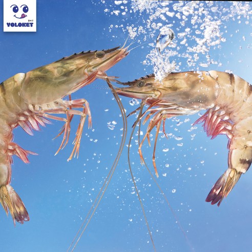 국내산 신안 흰다리새우 900g 급냉, 1개