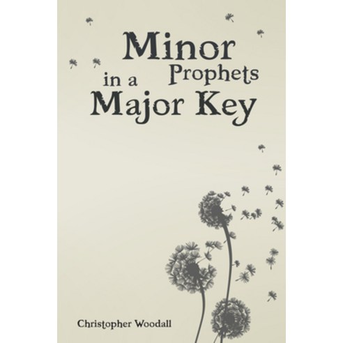 (영문도서) Minor Prophets in a Major Key Paperback, Wipf & Stock Publishers, English, 9781532642180