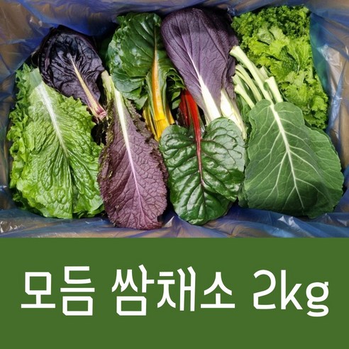 길룡이네 모듬쌈채소 2kg, 1개 길룡이네 모듬쌈채소 2kg, 1개