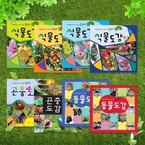 (다르담) 자연 관찰 책 8권 세트
