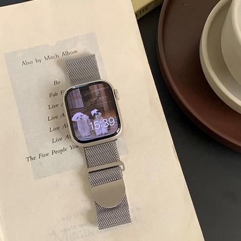 [용꼬리용용] 애플워치 스트랩 베스트 모음 SE 3 4 5 6 7 8, 42/44/45/49mm, 실버