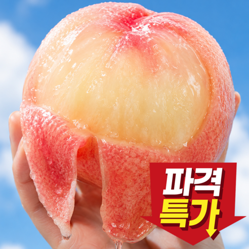 [파격초특가세일] 하루30박스 고당도 딱딱이 복숭아, 1개, 5kg