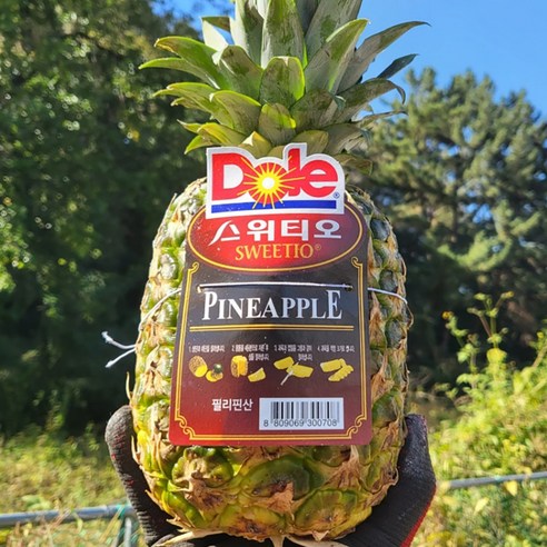 참좋은과일 Dole 스위티오 파인애플 2수(2.4~2.8kg), 2개