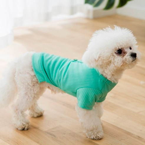 강아지 고양이 마카롱 반팔 티셔츠 BF117Z, 민트
