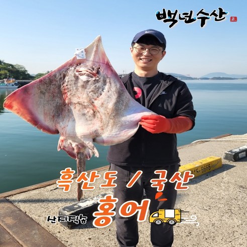 목포백년수산 흑산도홍어 국산홍어회 삭힌홍어250g 500g 1kg이상 (홍어애+홍어뼈 or 무침살 랜덤증정+무료배송), 흑산도홍어1kg강(홍어애+탕거리or무침살), 1개