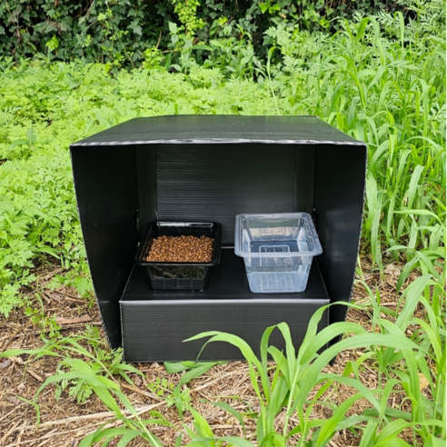 길고양이를 위한 안전한 식사 공간