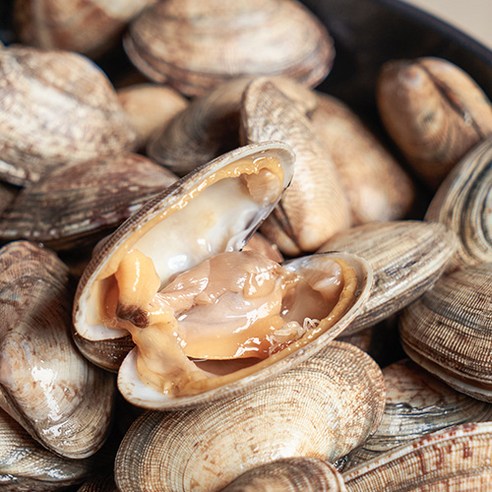 남해에서 선별된 신선하고 맛있는 왕바지락