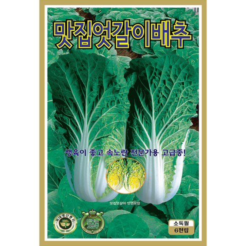 열무 배추 무 씨앗 모음 종자, 2개
