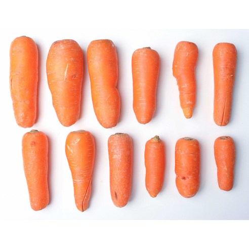 제주 구좌의 건강한 이름만 못난이 세척당근