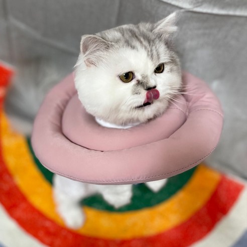 반려동물 페브릭 넥카라, 다크그레이