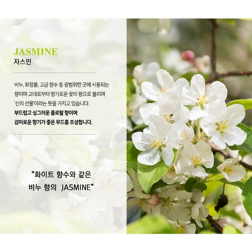 미트유 쌀겨 아로마 강아지 고양이 실내 디퓨저 방향제 원형 120ml, 3개, 시더우드, 1개