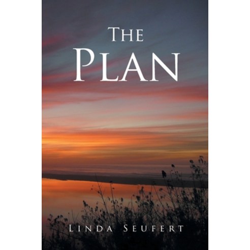 (영문도서) The Plan Paperback, Covenant Books, English, 9781645592358