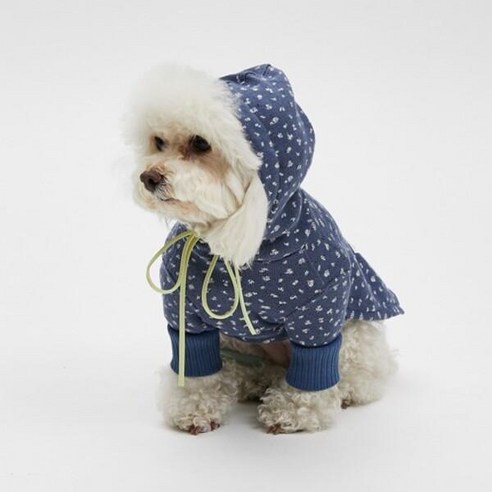 섬세한 사랑을 담아, 루이독 프리지아 후디로 완성하는 반려견 스타일 루이독