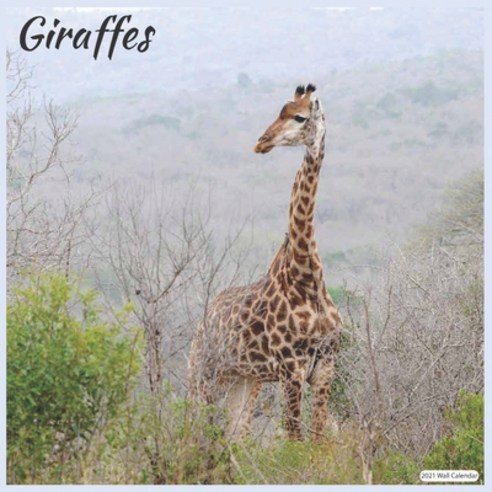 Giraffes 2021 Wall Calendar: Official Animal Giraffes Wall Calendar 2021 Paperback, Independently Published, English, 9798575542841