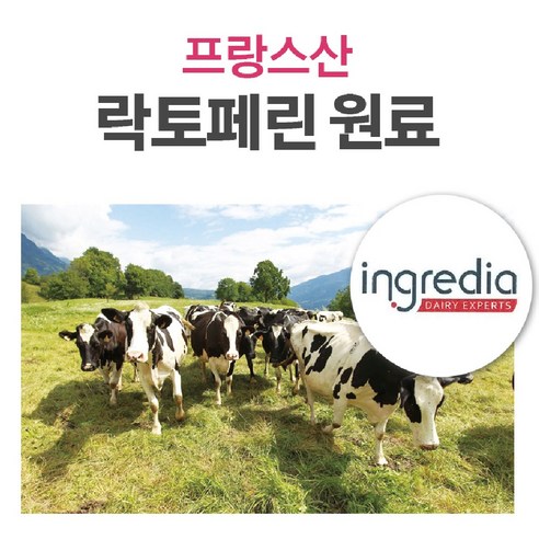 웰핏 락토페린으로 속 편안한 하루를 시작하세요!