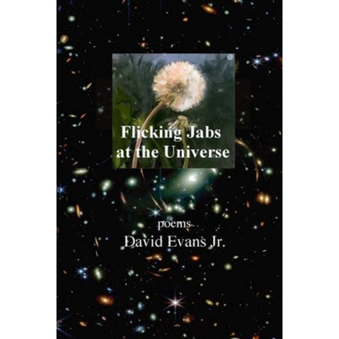 (영문도서) Flicking Jabs at the Universe Paperback, Kelsay Books, English, 9781639804016